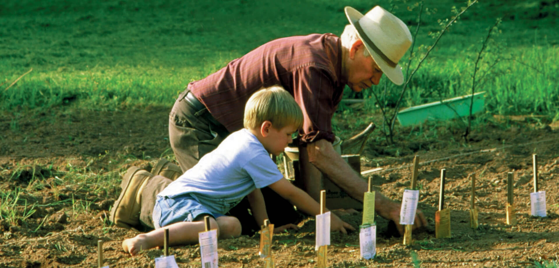 All you need for planting